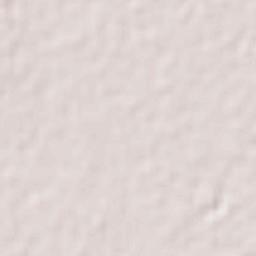 Colonia Diana Laura Riojas de Colosio Terrain Map