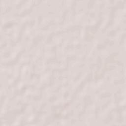 Etchojoa Terrain Map