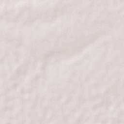 El Saneal Terrain Map