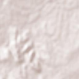 Valle de Allende Terrain Map