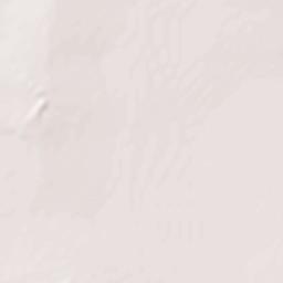 Guerrero Terrain Map