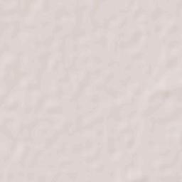 Sahuaral de Otero Terrain Map