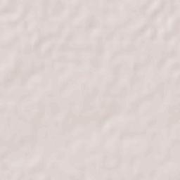 Bacabachi Terrain Map