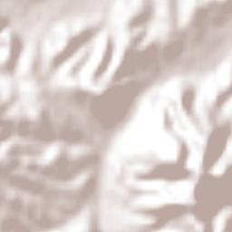 San Francisco del Oro Terrain Map