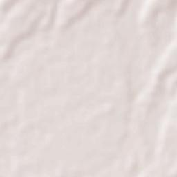 Nagrakata Terrain Map