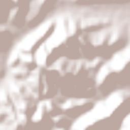 Santa Bárbara Terrain Map