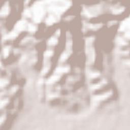 Samdrup Jongkhar Terrain Map