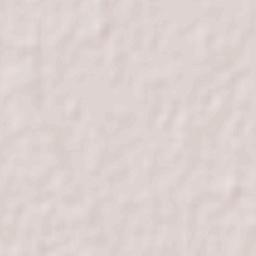 Etchoropo Terrain Map