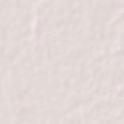 Baneswar Terrain Map