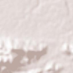 Numaligarh Terrain Map