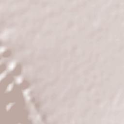 Bustamante Terrain Map