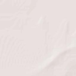 Nueva Ciudad Guerrero Terrain Map