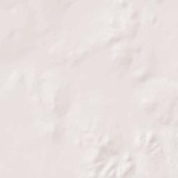 Starr County Terrain Map