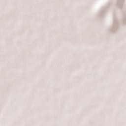 Ciudad de Villaldama Terrain Map