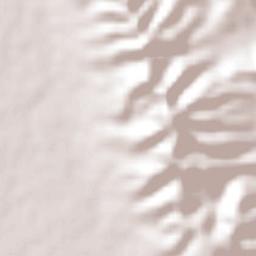 Villaldama Terrain Map