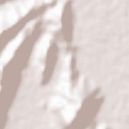 Bongaigaon Terrain Map