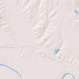 Escobares Terrain Map