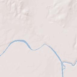 Rio Grande City Terrain Map