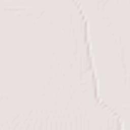 Ciudad Camargo Terrain Map