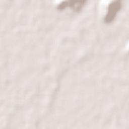 Abhayapuri Terrain Map