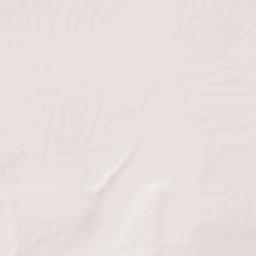 Agualeguas Nuevo León Terrain Map