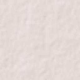 Nasirabad Terrain Map