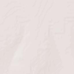 Miguel Alemán Terrain Map