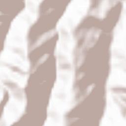 Tuensang Terrain Map