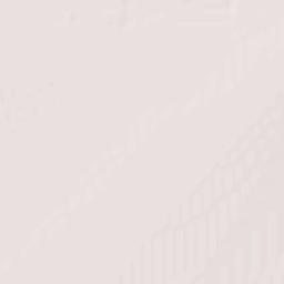 General Treviño Terrain Map