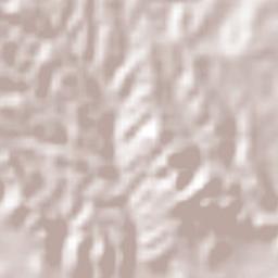 San Bernardo Terrain Map