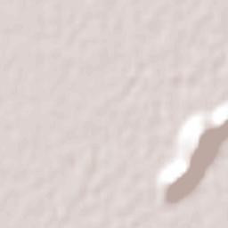 Chihuahuita Terrain Map