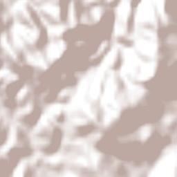 Guadalupe y Calvo Terrain Map