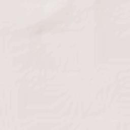 Cerralvo Terrain Map