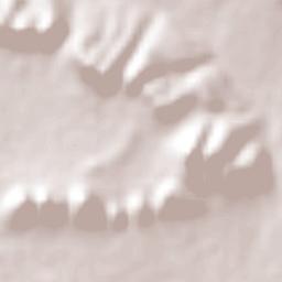 Mina Nuevo León Terrain Map