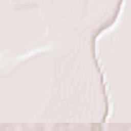 Aldama Estación Terrain Map