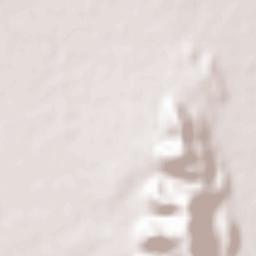 Todaraisingh Terrain Map