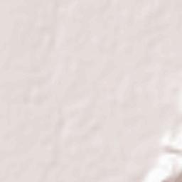 Sawai Madhopur Terrain Map