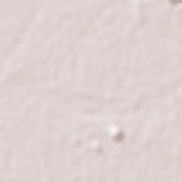 El Aguajito Terrain Map