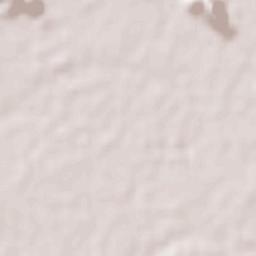 San Isidro Terrain Map