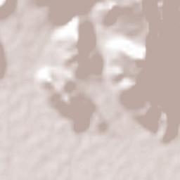 Ejido Tosalibampo Terrain Map