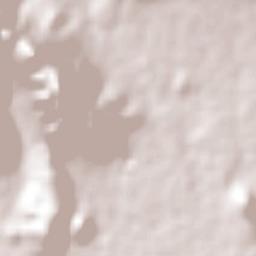 Nuevo San Miguel Terrain Map