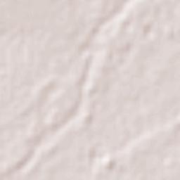 Carricitos Terrain Map