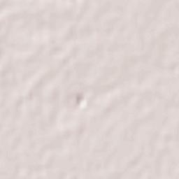 El Pochotal Terrain Map