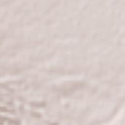 Salinas Victoria Terrain Map