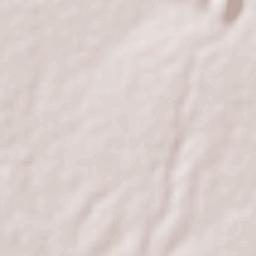 Higueras Nuevo León Terrain Map