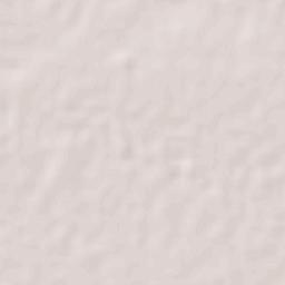 Ciudad Río Bravo Terrain Map