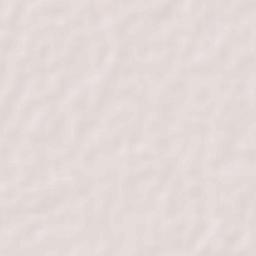 Nageswari Terrain Map