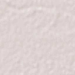 Ejido Mayocoba Terrain Map