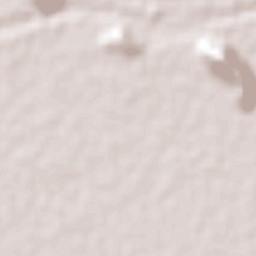 San Miguel Zapotitlan Terrain Map