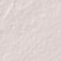 Mochicahui Terrain Map